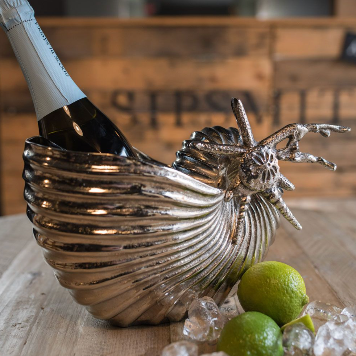 Large Seashore Shell Drinks Holder