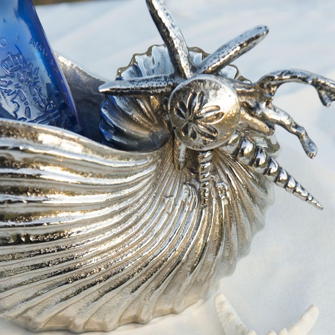 Large Seashore Shell Drinks Holder