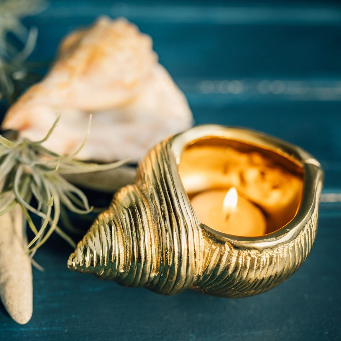 Gold Sea Snail Tea Light Holder